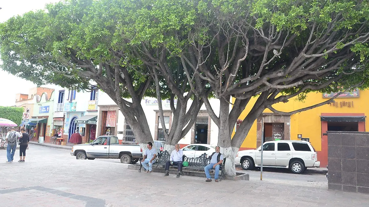 Derribarán por lo menos cinco árboles de gran tamaño que representan peligro.